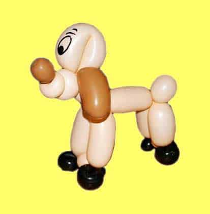 Ballon Hund Ballonhund